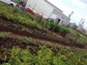 Foto galeria da empresa