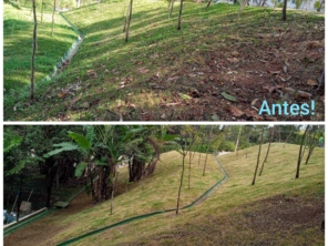 Foto galeria da empresa