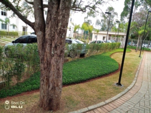 Foto de Vgs Jardinagem em São Lourenço da Serra, SP por Solutudo
