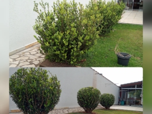 Foto de Vgs Jardinagem em São Lourenço da Serra, SP por Solutudo