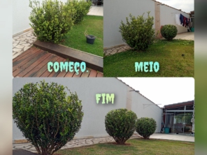 Foto de Vgs Jardinagem em São Lourenço da Serra, SP por Solutudo
