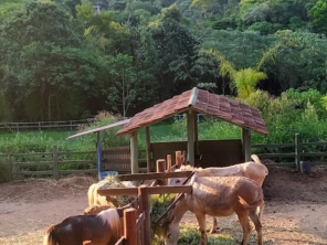 Foto de Fazenda Angolana em São Roque, SP por Solutudo