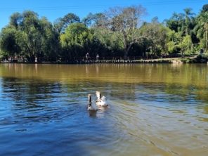 Foto de Fazenda Angolana em São Roque, SP por Solutudo