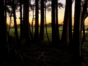 Foto de Camping Modelo em Bagé, RS por Solutudo
