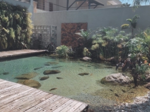 Foto de Jardins Oliveira e Centenário Paisagismo em Pederneiras, SP por Solutudo