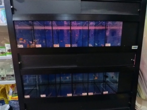 Foto galeria da empresa