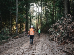 Foto de Tree House Produtora em Belém, PA por Solutudo