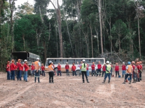 Foto de Tree House Produtora em Belém, PA por Solutudo