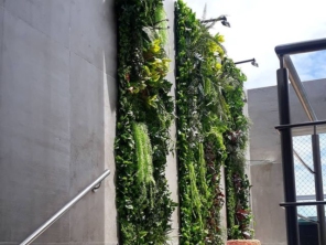 Foto de Le Jardind em Maceió, AL por Solutudo