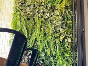 Foto de Le Jardind em Maceió, AL por Solutudo