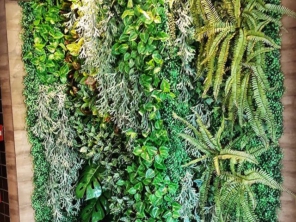 Foto de Le Jardind em Maceió, AL por Solutudo