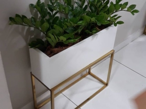 Foto de Le Jardind em Maceió, AL por Solutudo