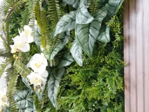 Foto de Le Jardind em Maceió, AL por Solutudo