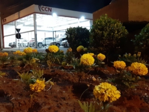 Foto de CCN Veiculos União em União da Vitória, PR por Solutudo