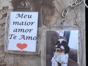 Foto de RafArts em São Manuel, SP por Solutudo