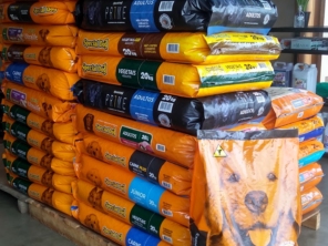 Foto galeria da empresa