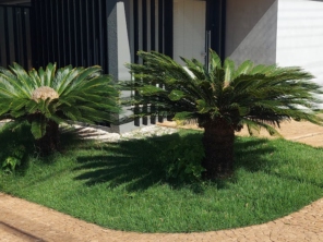 Foto de DermaDom em Santa Cruz do Rio Pardo, SP por Solutudo