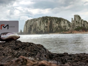 Foto de Martins Refrigeração e climatização em Torres, RS por Solutudo
