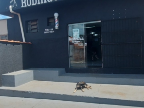 Foto de Barbearia Rodrigues em São Manuel, SP por Solutudo