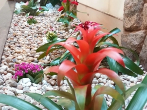 Foto de Gibi poda e jardim em Pederneiras, SP por Solutudo