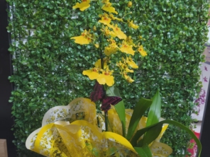 Foto de Penha Garden em São Paulo, SP por Solutudo