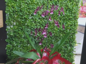 Foto de Penha Garden em São Paulo, SP por Solutudo