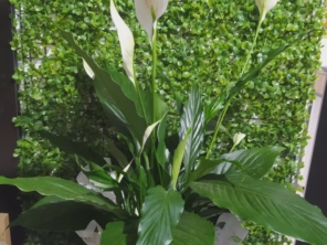 Foto de Penha Garden em São Paulo, SP por Solutudo