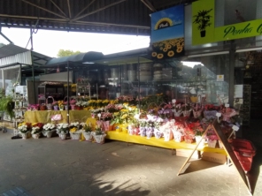 Foto de Penha Garden em São Paulo, SP por Solutudo