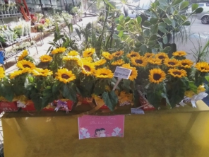 Foto de Penha Garden em São Paulo, SP por Solutudo
