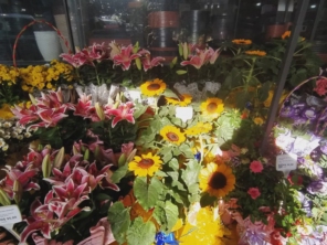 Foto de Penha Garden em São Paulo, SP por Solutudo