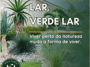 Imagem de galeria