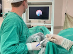 Foto de Dr. Pedro Bastos Urologista em Juiz de Fora, MG por Solutudo