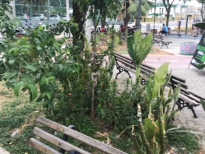 Foto de Grendene 2 em Sobral, CE por Solutudo