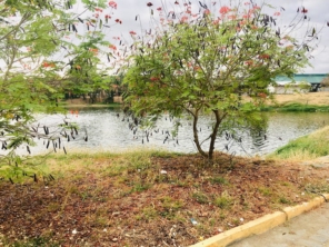 Foto de Grendene 2 em Sobral, CE por Solutudo
