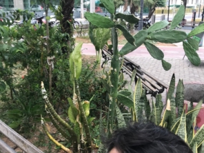 Foto de Grendene 2 em Sobral, CE por Solutudo