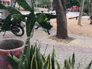 Foto de Grendene 2 em Sobral, CE por Solutudo