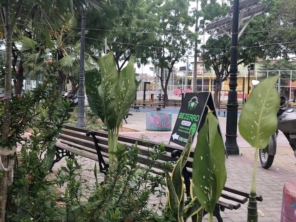 Foto de Grendene 2 em Sobral, CE por Solutudo