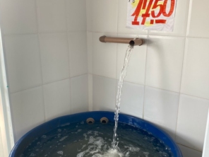 Foto de Peixaria Santa Tilápia em Avaré, SP por Solutudo