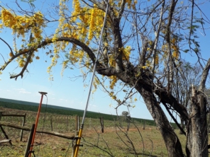 Foto de ESCRITÓRIO TERRA-GEO em Santa Cruz do Rio Pardo, SP por Solutudo