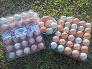 Foto de Granja de Ovos Campinas em Luziânia, GO por Solutudo