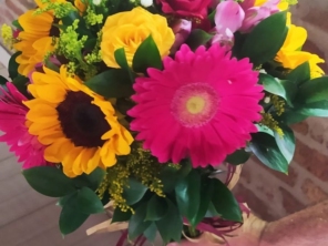 Foto galeria da empresa