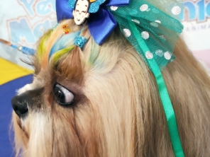 Foto de Pet Mania em São Manuel, SP por Solutudo