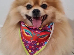 Foto de Pet Mania em São Manuel, SP por Solutudo