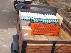 Foto de Joelso Disk Ovos e Carro de Ovos em Pederneiras, SP por Solutudo