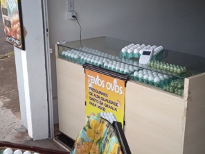 Foto galeria da empresa