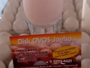 Foto de Joelso Disk Ovos e Carro de Ovos em Pederneiras, SP por Solutudo