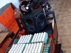 Foto de Joelso Disk Ovos e Carro de Ovos em Pederneiras, SP por Solutudo