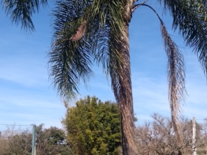 Foto de Valle Verde Centro de Eventos em Ijuí, RS por Solutudo