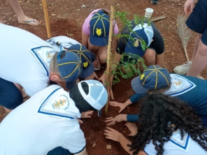 Foto de Grupo Escoteiro do Mar Paranã - 512/SP em Avaré, SP por Solutudo