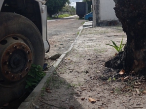 Foto de TRANSPLENN TRANSPORTES em Dias D'Ávila, BA por Solutudo